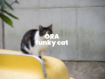 ORA funky cat oder auch – wo ist der Scheibenwischer