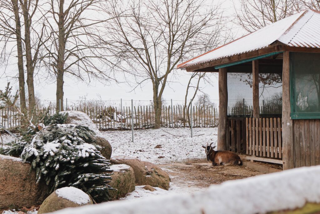 BEECH FLEESENSEE Familieurlaub Ferienhaus Resort Urlaub Kind