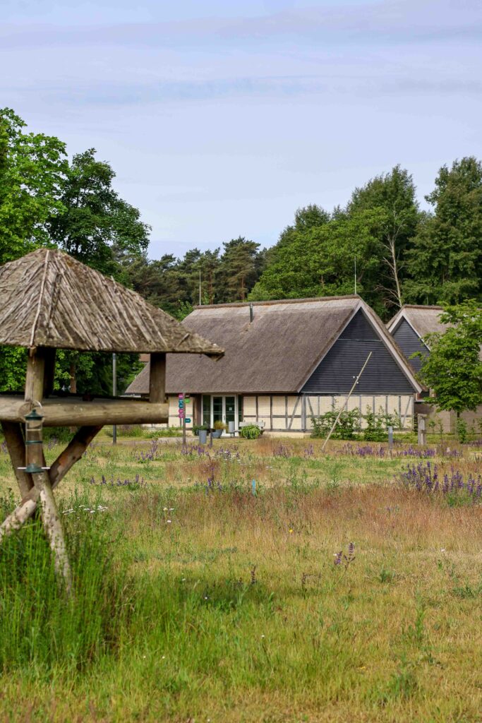 BEECH Plauer See Mai 2025 - Müritz Resort Familienurlaub Rabatt LIA15 Familie Reisen mit Kind