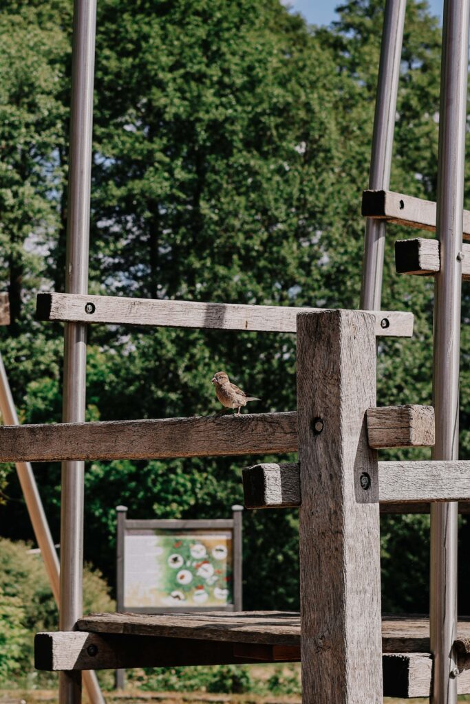 BEECH Plauer See Mai 2025 - Müritz Resort Familienurlaub Rabatt LIA15 Familie Reisen mit Kind