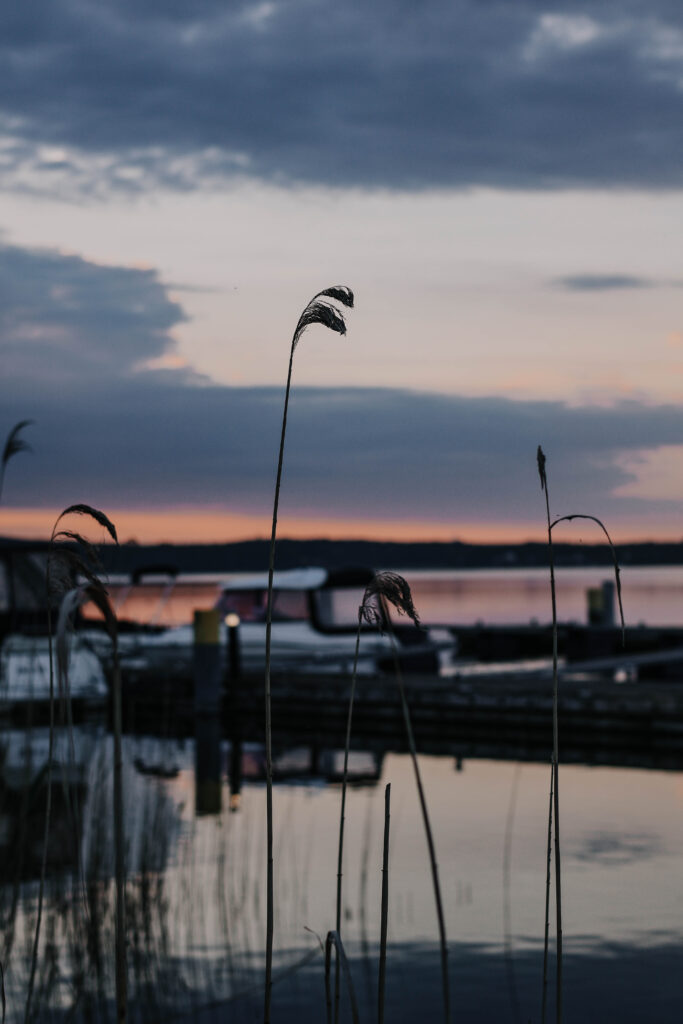 BEECH Plauer See Mai 2025 - Müritz Resort Familienurlaub Rabatt LIA15 Familie Reisen mit Kind