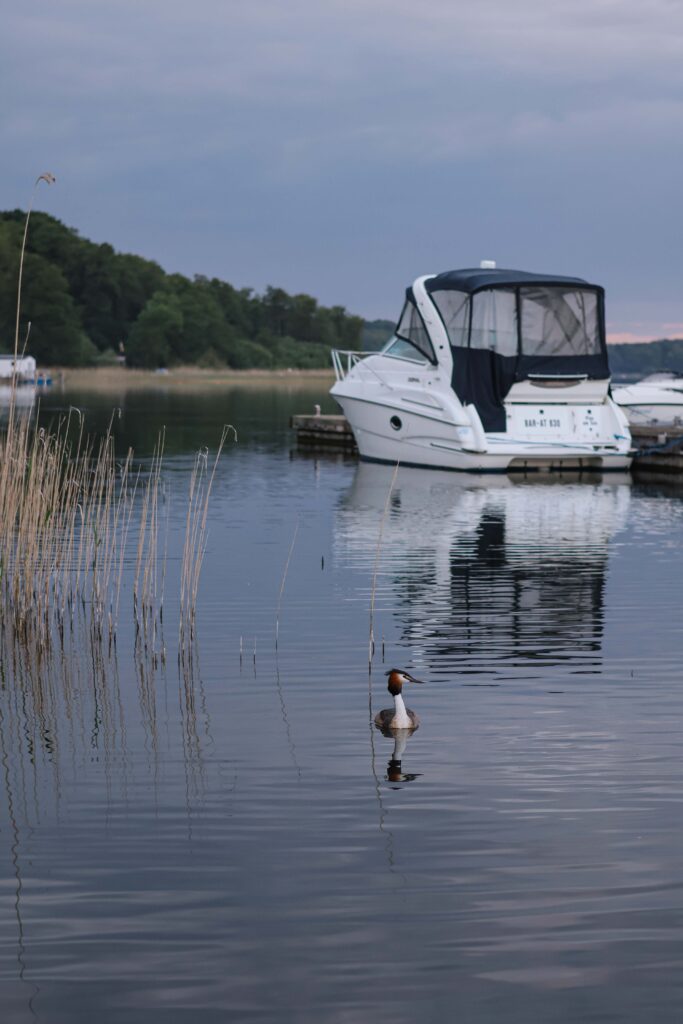 BEECH Plauer See Mai 2025 - Müritz Resort Familienurlaub Rabatt LIA15 Familie Reisen mit Kind