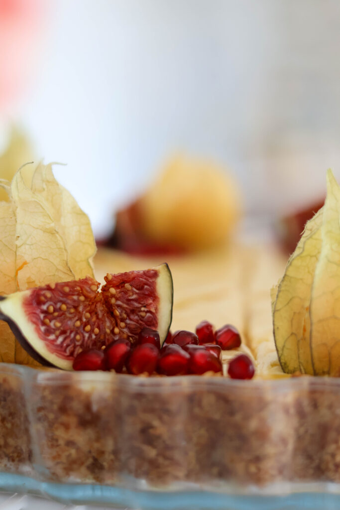 Friedrichskoog Urlaub Trischendiek PArk Nordsee Familie Urlaub mit Kind Dithmarschen