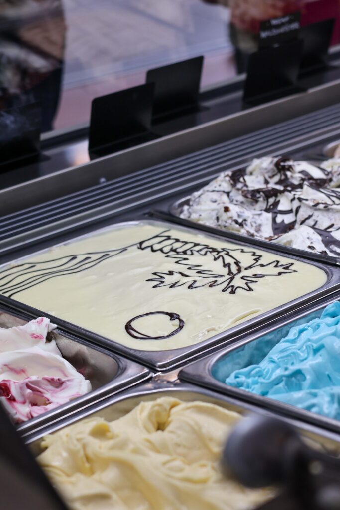 Friedrichskoog Urlaub Trischendiek PArk Nordsee Familie Urlaub mit Kind Dithmarschen