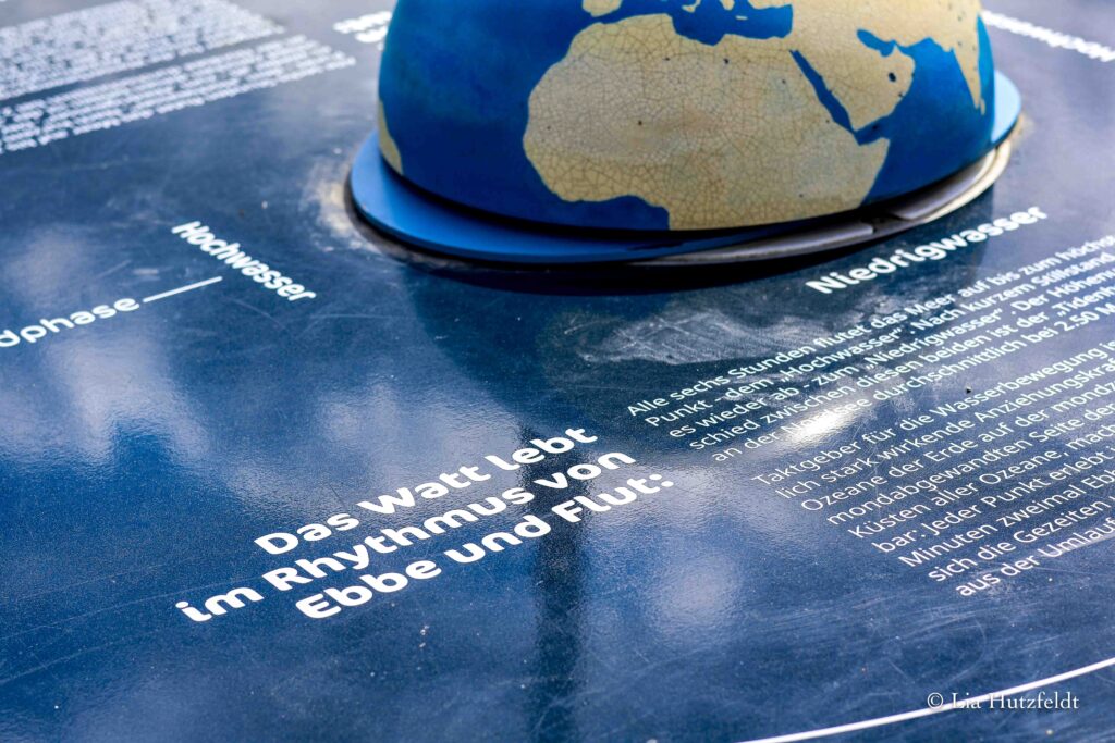 Friko Trischendiek Park Friedrichkoog Spielplatz Urlaub mit Kind Familie Dithmarschen Nordsee Trischendamm-8