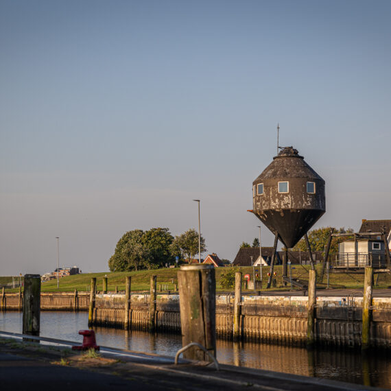 Seit zwei Jahren lebe ich an der Nordsee und teile meine liebsten Orte: Trischendamm, Alter Hafen, Seehundstation, Wattwanderung, Seehundfahrt ab Büsum, Speicherkoog und die Eisbutze am Trischendiek Park.