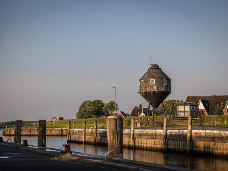 Seit zwei Jahren lebe ich an der Nordsee und teile meine liebsten Orte: Trischendamm, Alter Hafen, Seehundstation, Wattwanderung, Seehundfahrt ab Büsum, Speicherkoog und die Eisbutze am Trischendiek Park.