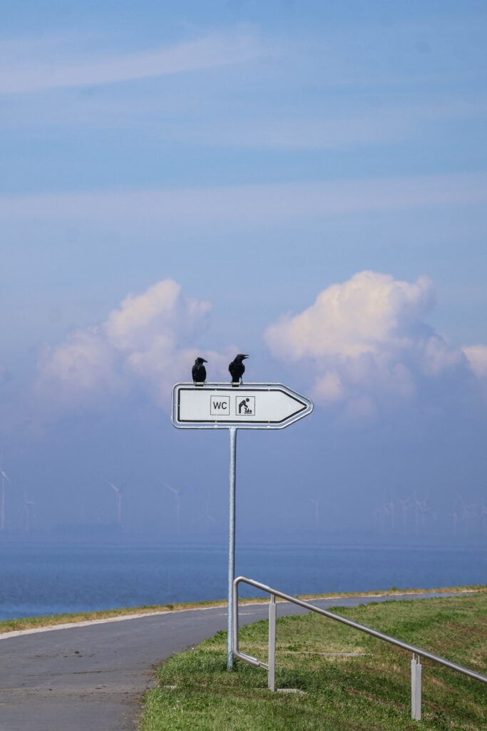 Friedrichskoog Strand -4Trischendiek Kinder Familienurlaub Nordsee Spielbude Fietes