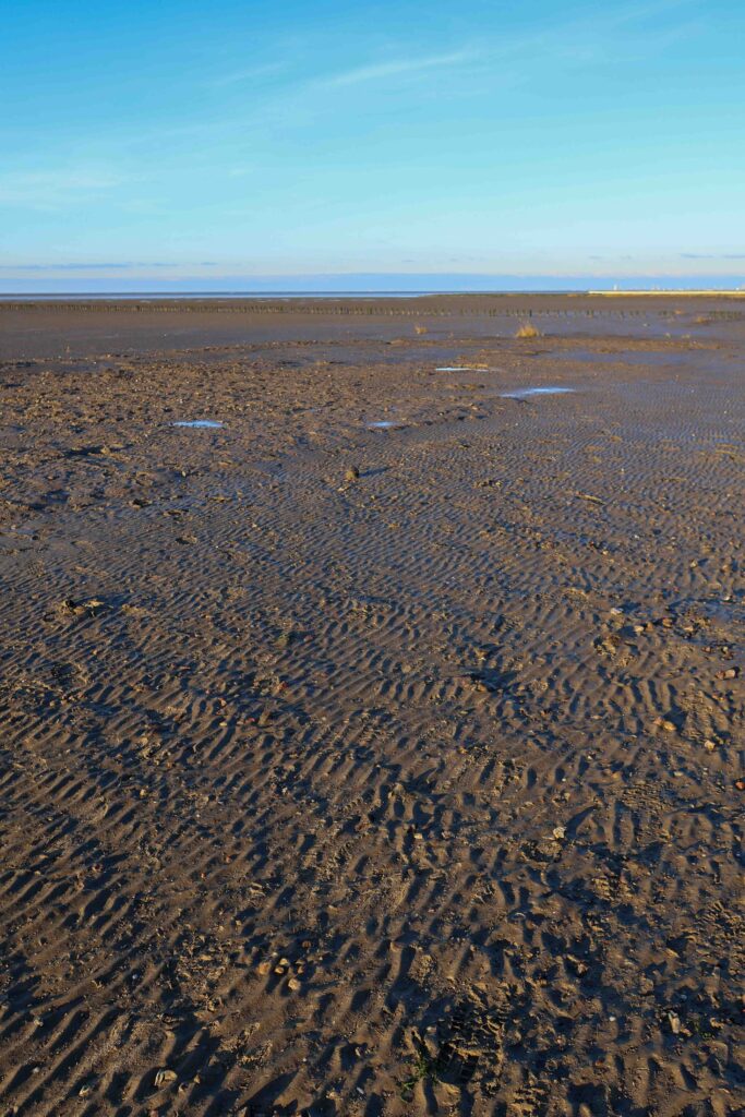 Friedrichskoog Trischendiek Strand Deich Umbau offen Nordsee Wattenmeer Familienurlaub