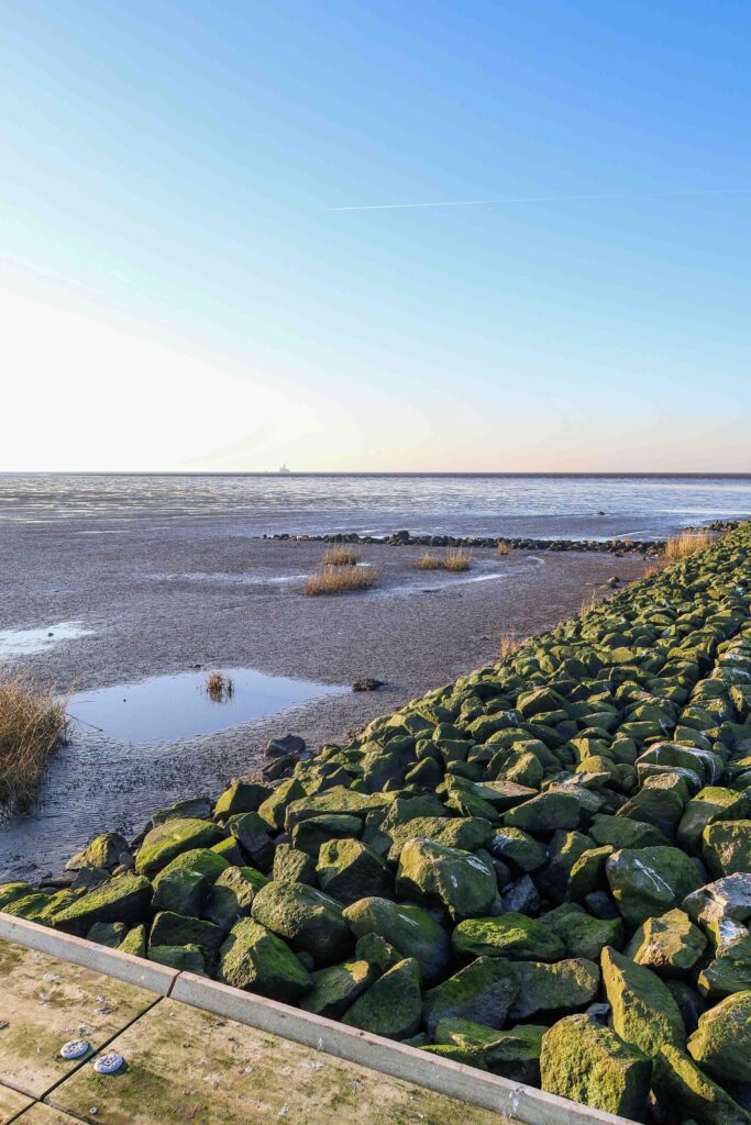 Friedrichskoog Trischendiek Strand Deich Umbau offen Nordsee Wattenmeer Familienurlaub