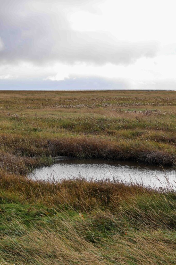 Friko Trischendiek Park Friedrichkoog Spielplatz Urlaub mit Kind Familie Dithmarschen Nordsee Trischendamm