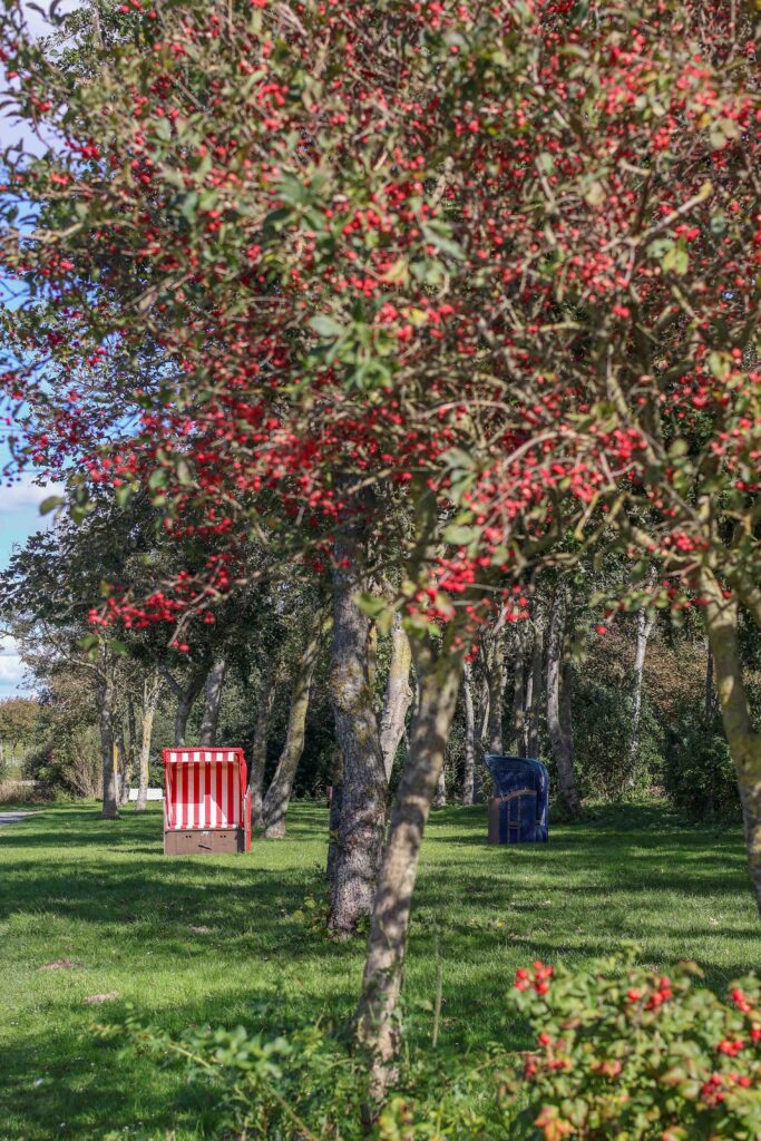 Trischendiek Park Friedrichkoog Spielplatz Urlaub mit Kind Familie Dithmarschen Nordsee Trischendamm Alter Hafen